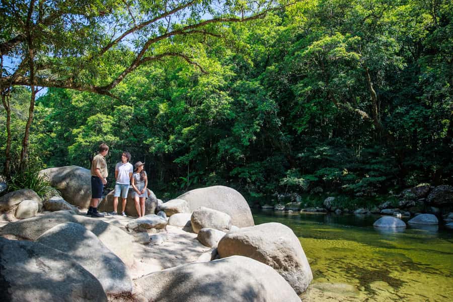 Cairns: Daintree Rainforest & Cape Tribulation Day Trip - A comfortable start from Cairns, Palm Cove, or Port Douglas