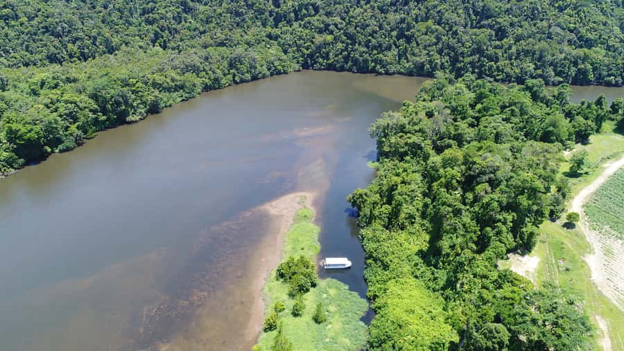 Cairns: Daintree Rainforest Wildlife Experience Cruise - Key points to know before you go