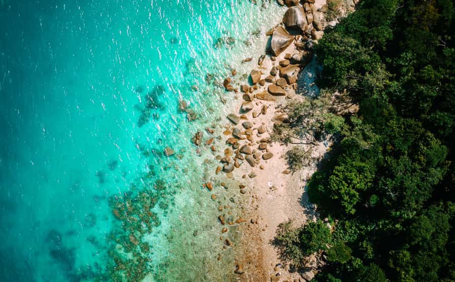 Cairns: Fitzroy Island Ferry with Optional Lunch & Activity - Why Fitzroy Island Makes A Strong Cairns Day Trip
