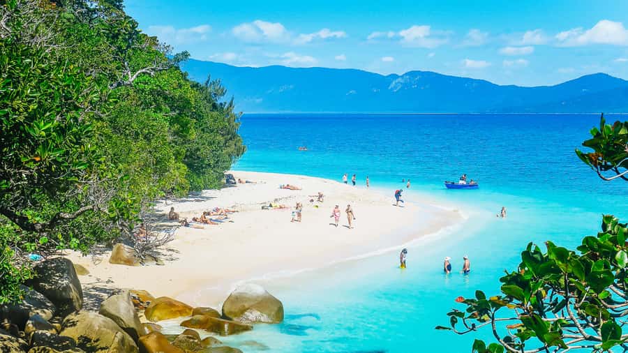 Cairns: Fitzroy Island Ferry with Optional Lunch & Activity - Four And A Half Hours To Shape Your Own Day