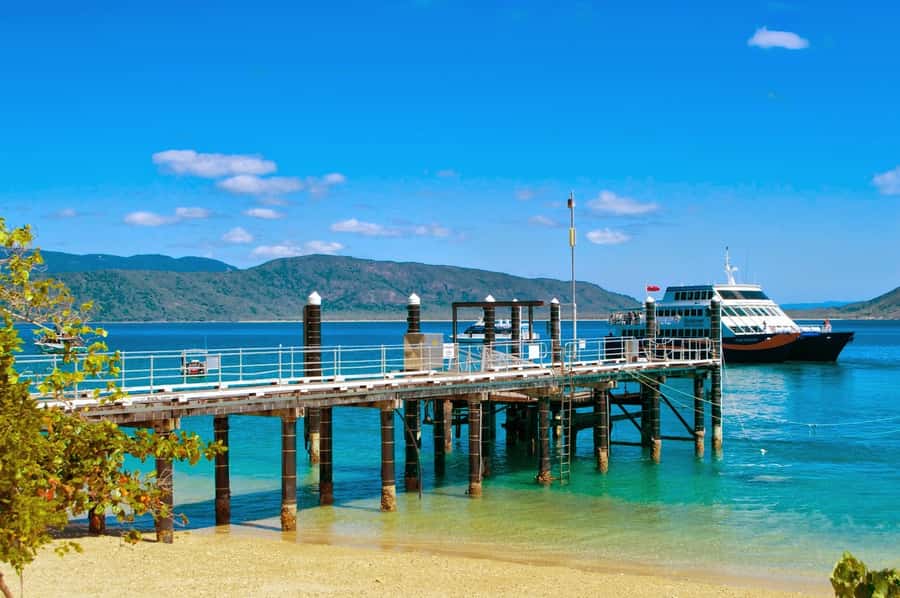 Cairns: Fitzroy Island Ferry with Optional Lunch & Activity - Rainforest Tracks, Nudey Beach, And Island Walking