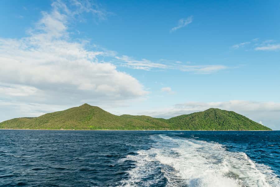 Cairns: Fitzroy Island Half-Day with Optional Extras - Staff, organization, and the overall feel