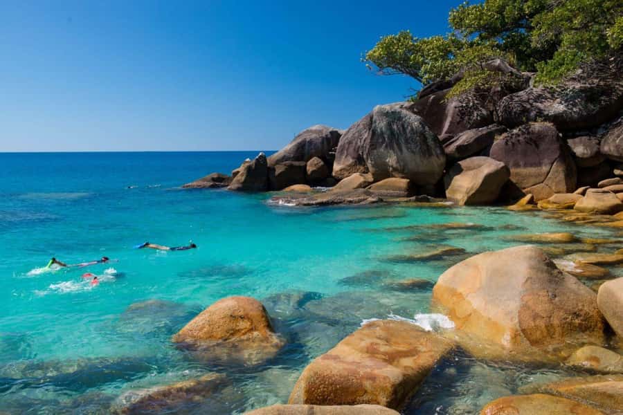 Cairns: Great Barrier Reef and Fitzroy Island Boat Tour - Glass bottom boat and semi-submersible viewing
