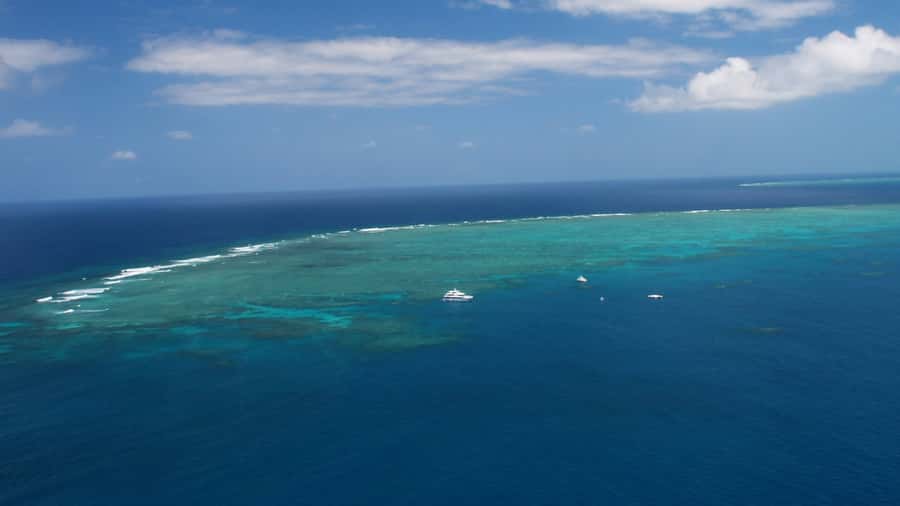 Cairns: Great Barrier Reef Cruise & Scenic Helicopter Flight - BBQ lunch with reef views