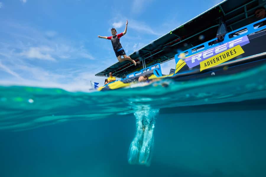 Cairns: Great Barrier Reef Half-Day Snorkelling Tour - The details that matter most