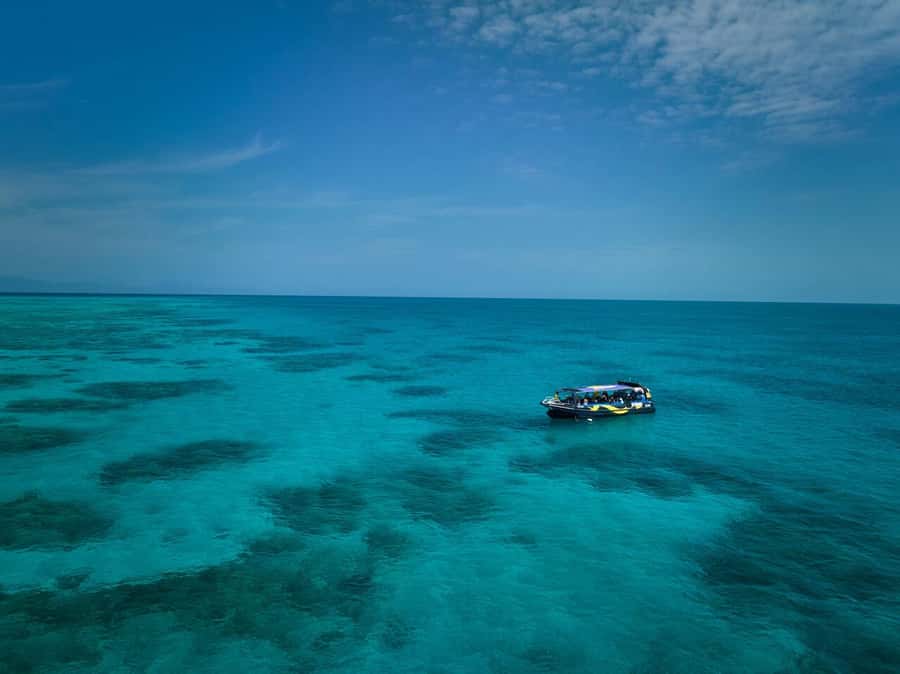 Cairns: Great Barrier Reef Half-Day Snorkelling Tour - Meeting at The Pier Shopping Centre