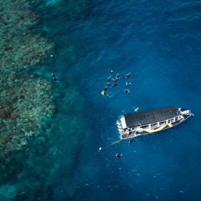 Great Barrier Reef Half-Day Snorkelling Tour