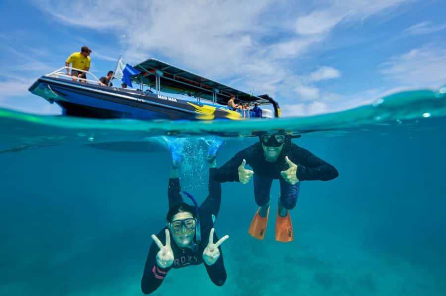 Cairns: Great Barrier Reef Half-Day Snorkelling Tour - What the $126 price really buys