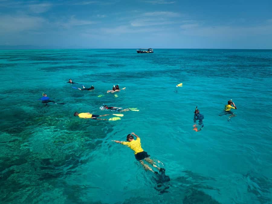 Cairns: Great Barrier Reef Half-Day Snorkelling Tour - Should you book Reef Adventures Cairns?