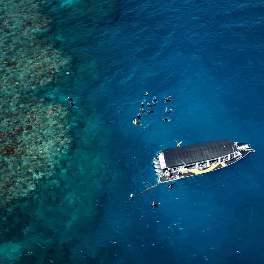 Cairns: Great Barrier Reef Half-Day Snorkelling Tour - The fast ride from Cairns Marlin Marina
