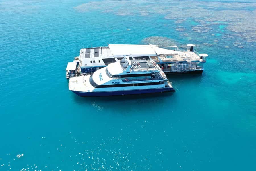 Cairns: Great Barrier Reef Pontoon with Water Activities - Reef Magic Pontoon Review: Key Points