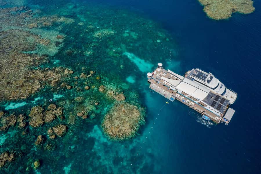 Cairns: Great Barrier Reef Pontoon with Water Activities - Snorkeling in the Sheltered Coral Lagoon
