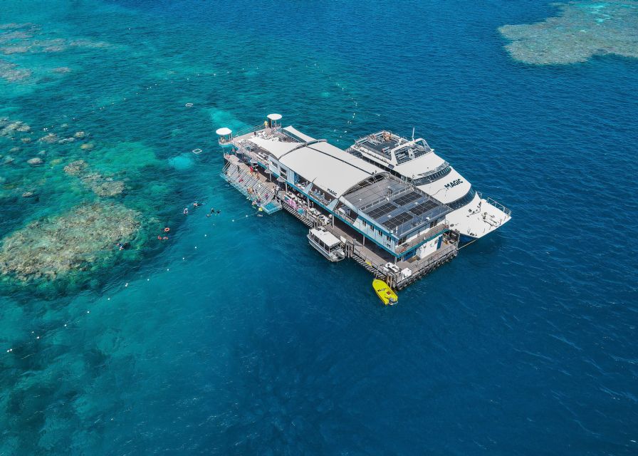 Cairns: Great Barrier Reef Pontoon with Water Activities - Semi-Submersible, Glass-Bottom Boat, and Observatory Views