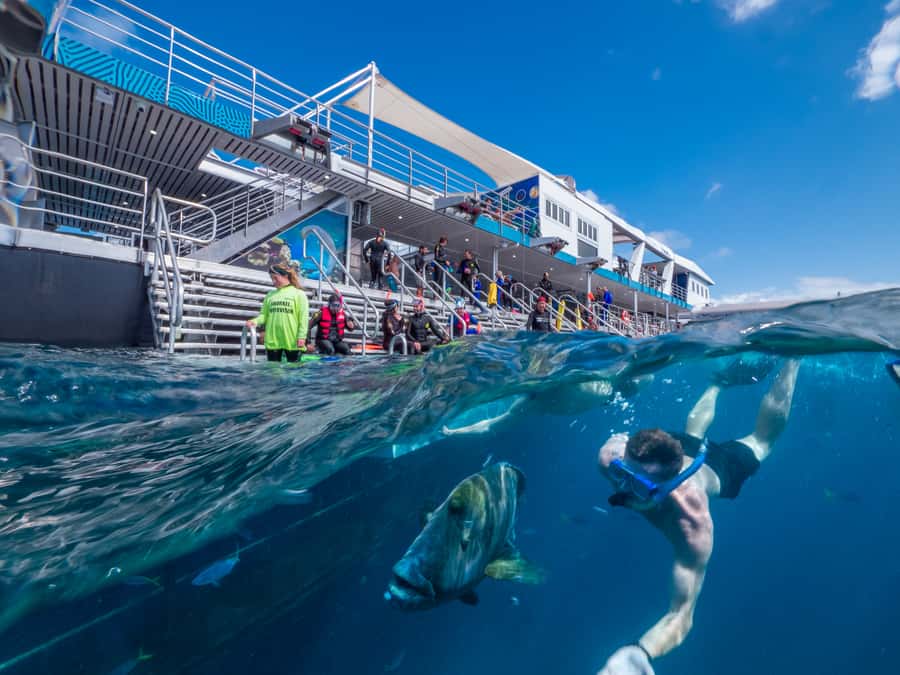 Cairns: Great Barrier Reef Pontoon with Water Activities - What the $222 Price Really Buys You