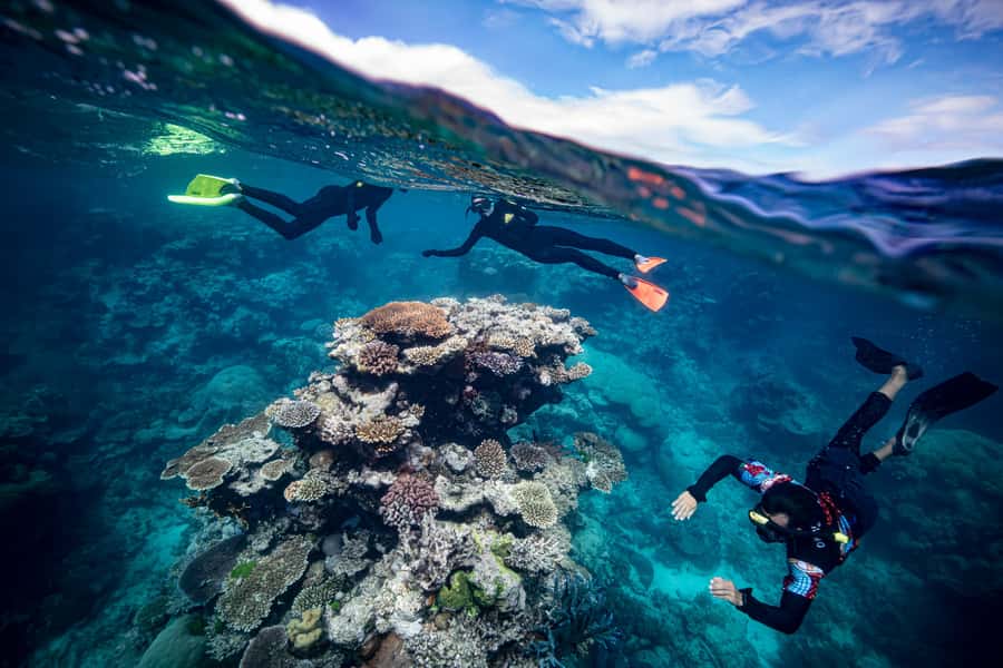 Cairns: Great Barrier Reef Premium Diving Full Day Tour - Who should book this Cairns reef trip?