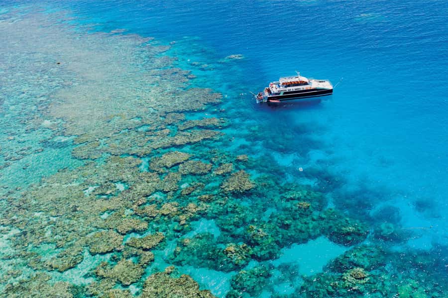Cairns: Great Barrier Reef Premium Diving Full Day Tour - Leaving Cairns for two outer reef sites