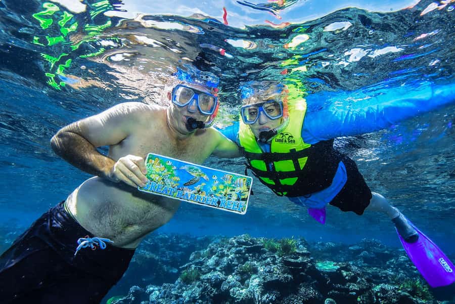 Cairns: Great Barrier Reef Premium Diving Full Day Tour - Choosing snorkeling or an introductory scuba session