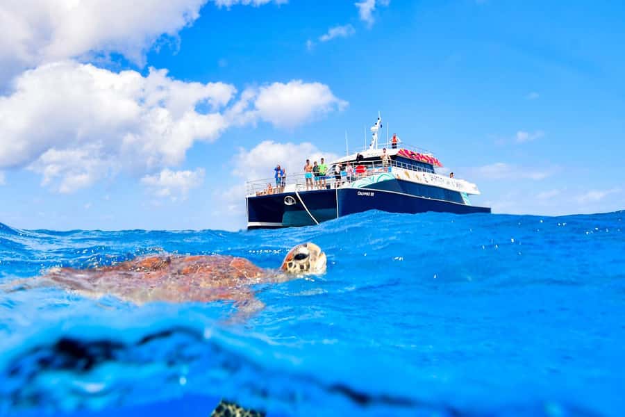 Cairns: Great Barrier Reef Premium Diving Full Day Tour - What to pack for the marina and reef