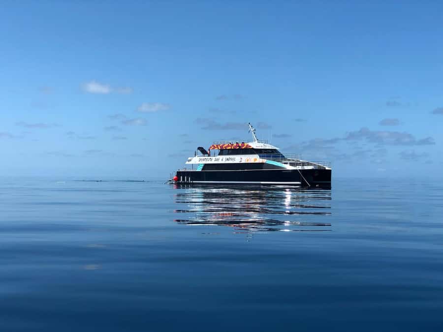 Cairns: Great Barrier Reef Premium Diving Full Day Tour - The first reef stop: coral gardens and an easy introduction