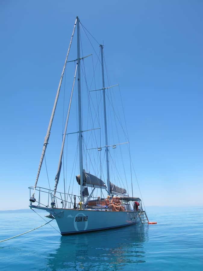 Cairns: Green Island & Great Barrier Reef Sailing Tour - What the price includes, and what it does not