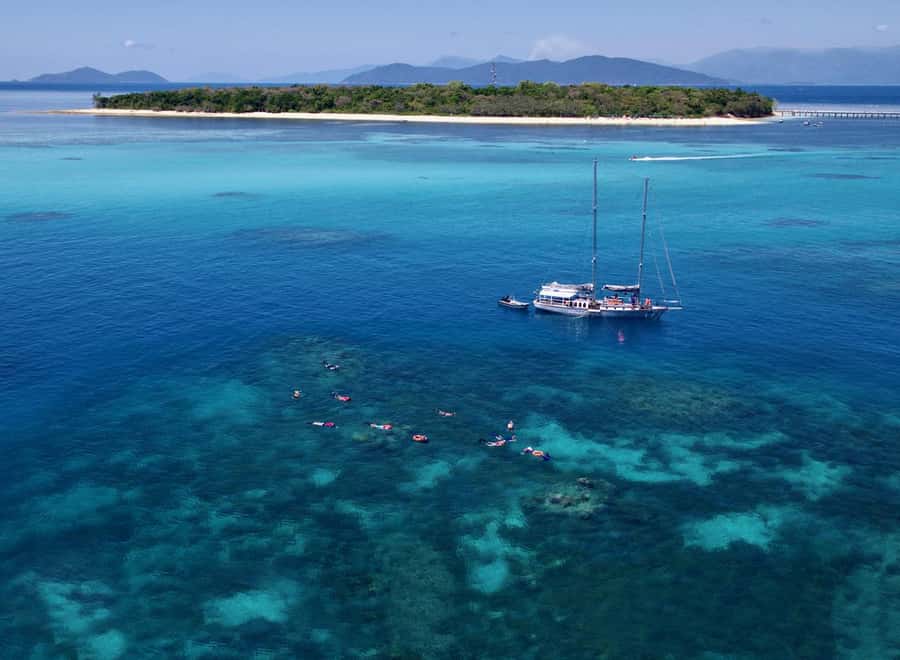 Cairns: Green Island & Great Barrier Reef Sailing Tour - The afternoon reef session and the quiet sail home