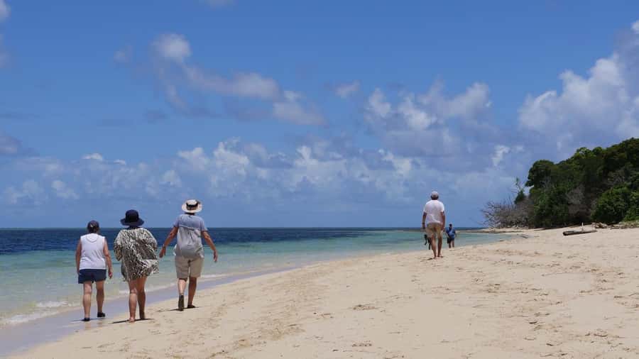 Cairns: Green Island & Great Barrier Reef Sailing Tour - The crew makes or breaks this kind of trip