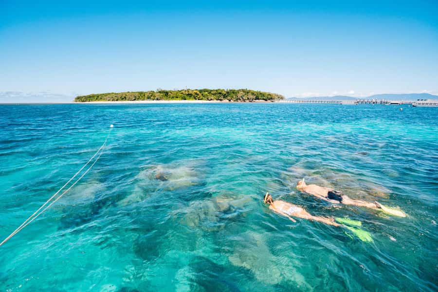 Cairns: Green Island Snorkelling or Glass Bottom Boat - Green Island’s rainforest walk and quiet beaches
