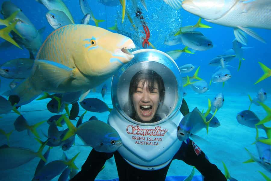 Cairns: Green Island Snorkelling or Glass Bottom Boat - My practical verdict