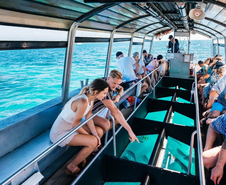 Cairns: Green Island Snorkelling or Glass Bottom Boat - Choosing between shore snorkelling and the glass bottom boat