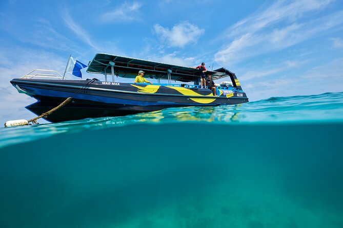 Cairns Half Day Tour a Great Barrier Reef Snorkeling Experience - Coral, turtles, stingrays, and changing visibility