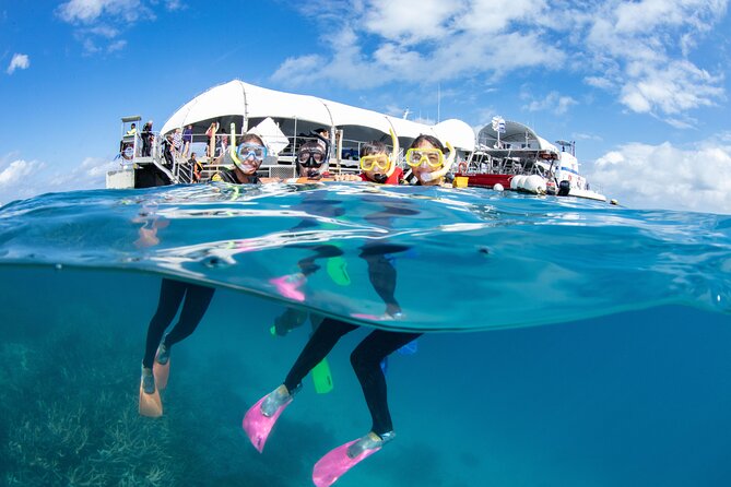 Cairns Half Day Tour a Great Barrier Reef Snorkeling Experience - Choosing the right departure time