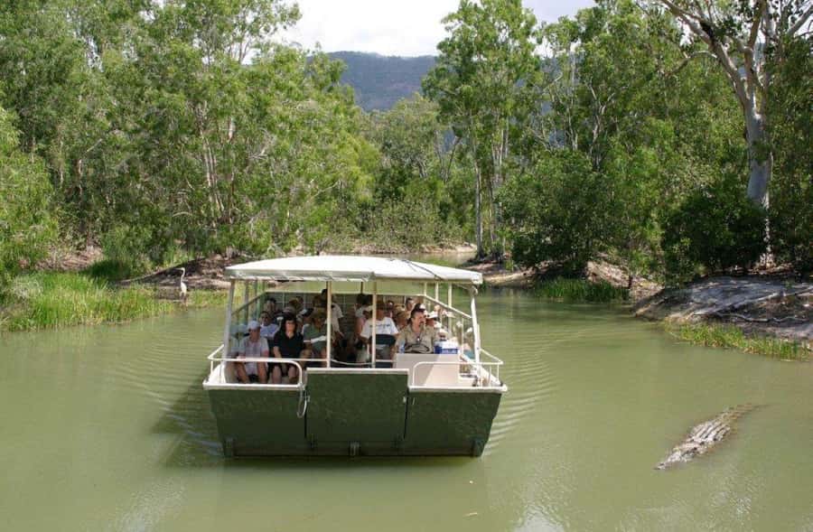 Cairns: Hartley's Crocodile Adventures Visit with Transfer - Hartley’s Crocodile Adventures at a glance
