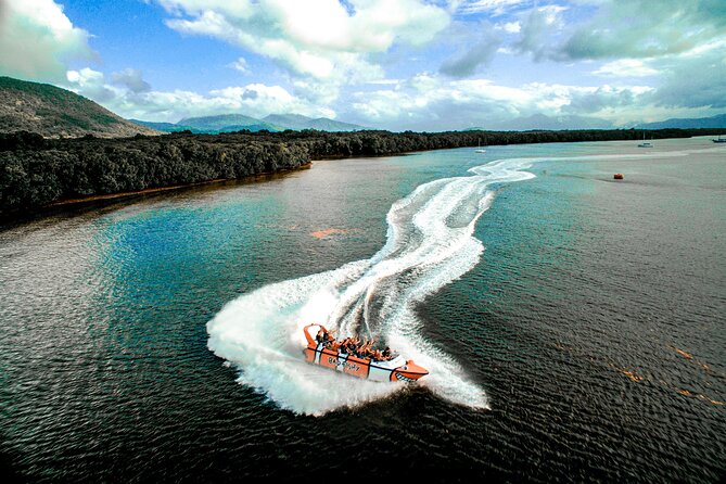 Cairns Jet Boat Ride - Who should ride, and who should skip it?