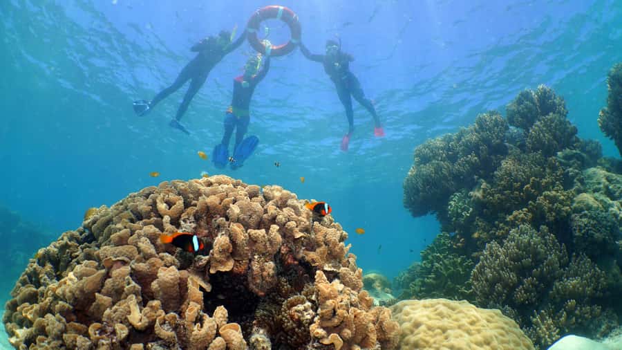 Cairns: Ocean Spirit Great Barrier Reef Full Day Tour - Returning to Cairns under the sails