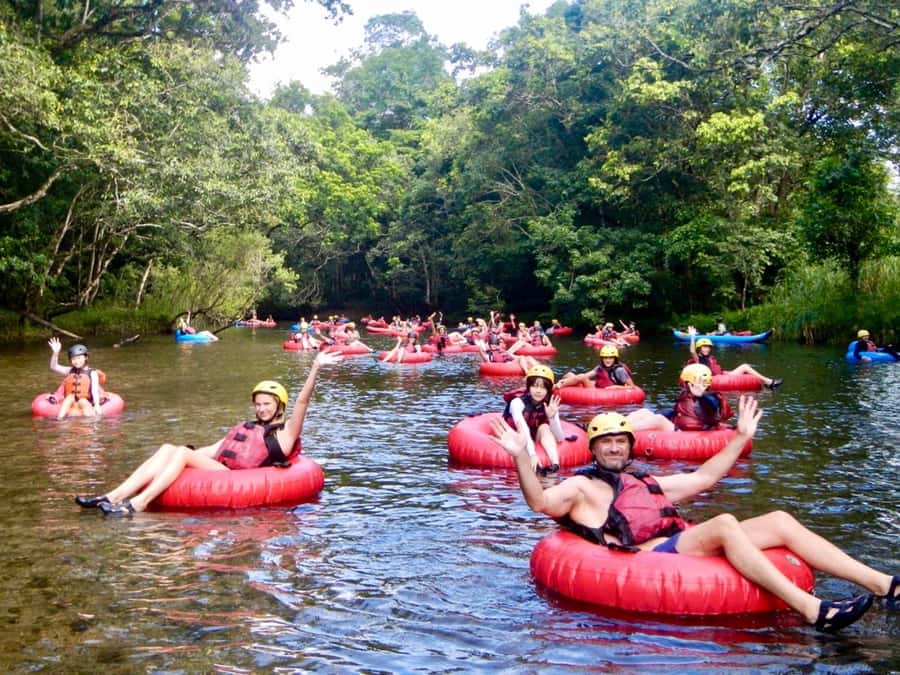 Cairns or Northern Beaches: Rainforest River Tubing - Entering the water with guides nearby