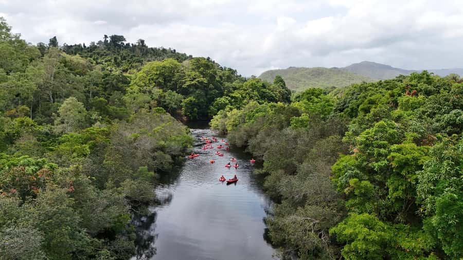 Cairns or Northern Beaches: Rainforest River Tubing - The 90-minute float: calm water and small rapids
