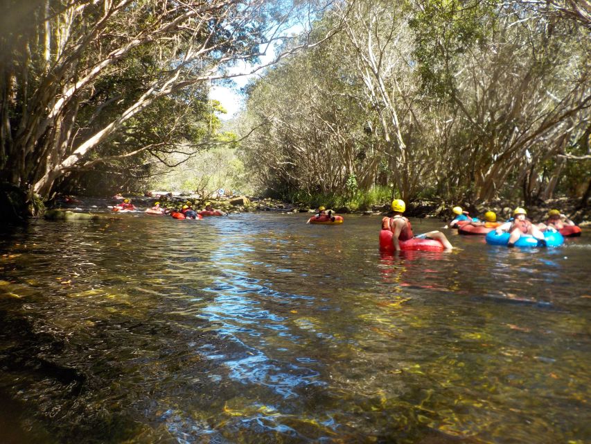 Cairns or Northern Beaches: Rainforest River Tubing - Is $53 plus the levy good value?