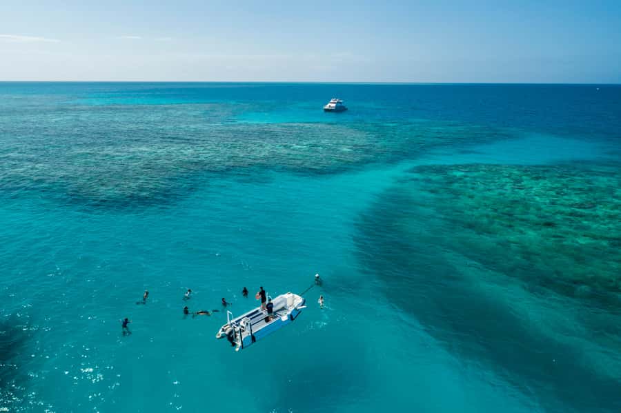 Cairns: Outer and Coral Cay Snorkel and Dive Cruise - What makes this Cairns reef day different