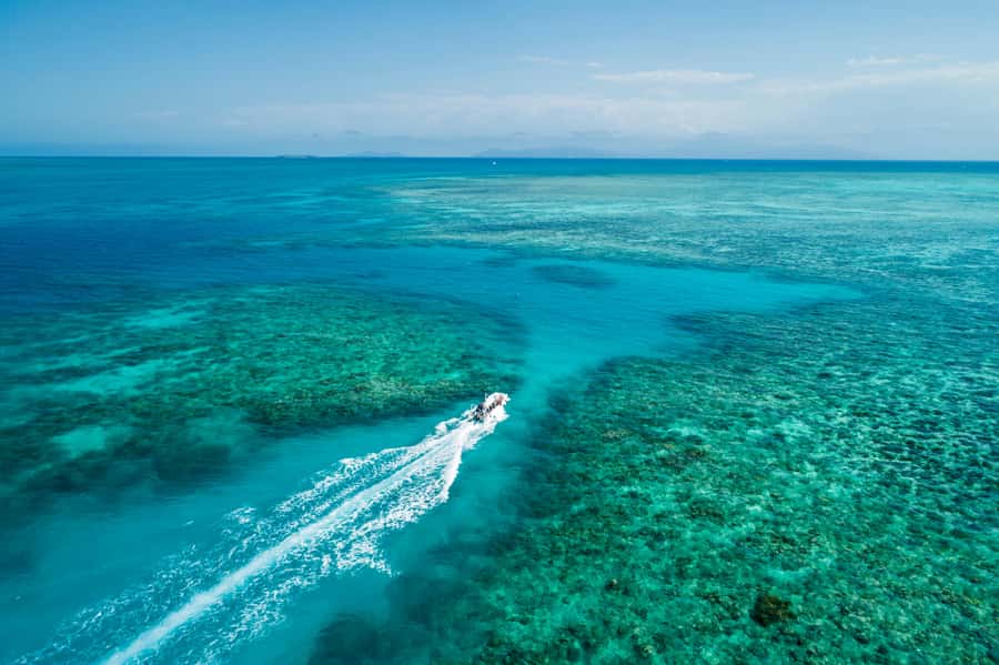 Cairns: Outer and Coral Cay Snorkel and Dive Cruise - A fast start from Cairns Marlin Marina