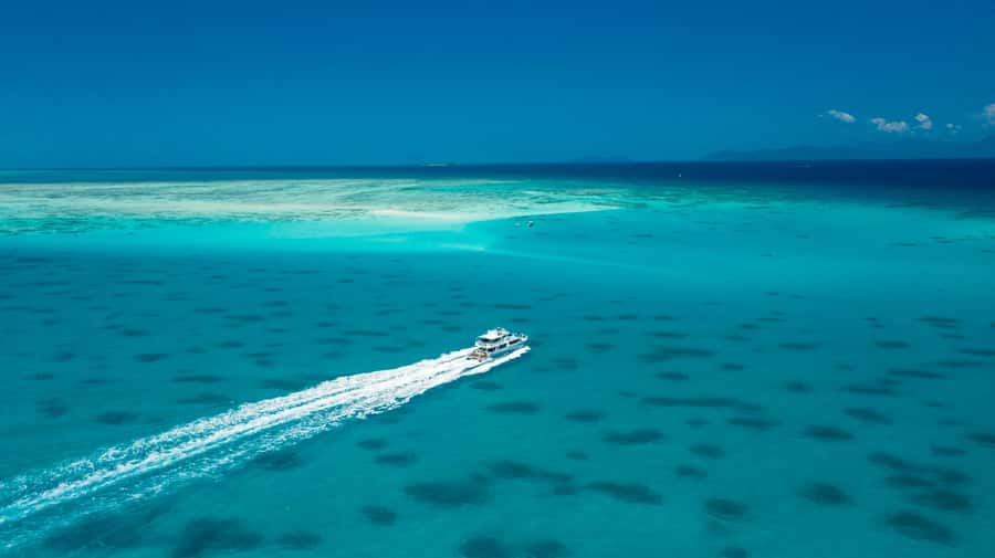 Cairns: Outer and Coral Cay Snorkel and Dive Cruise - Lunch is a real part of the value