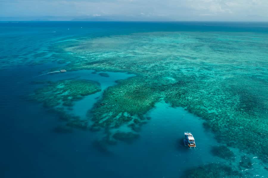 Cairns: Outer and Coral Cay Snorkel and Dive Cruise - How the day fits together