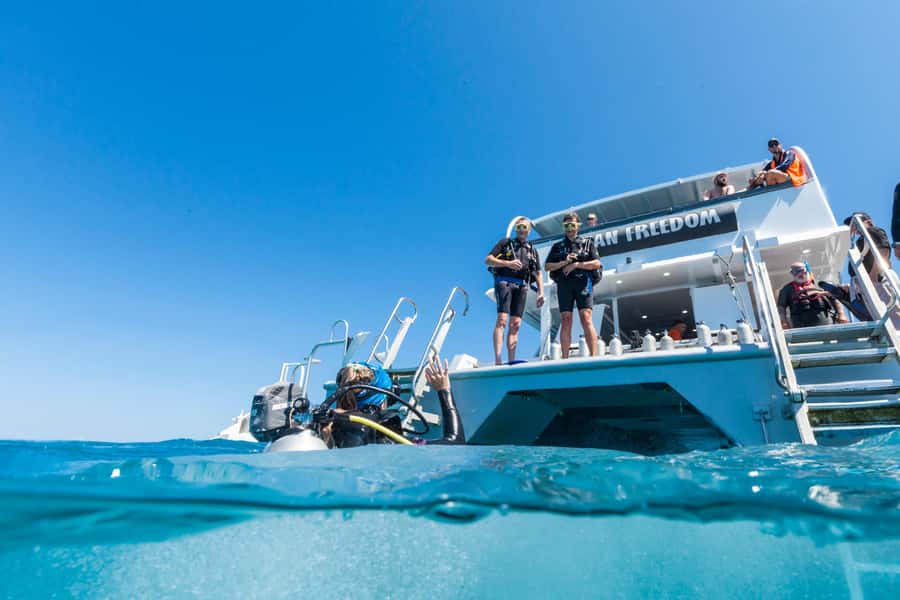 Cairns: Outer and Coral Cay Snorkel and Dive Cruise - Group size, comfort, and the boat experience