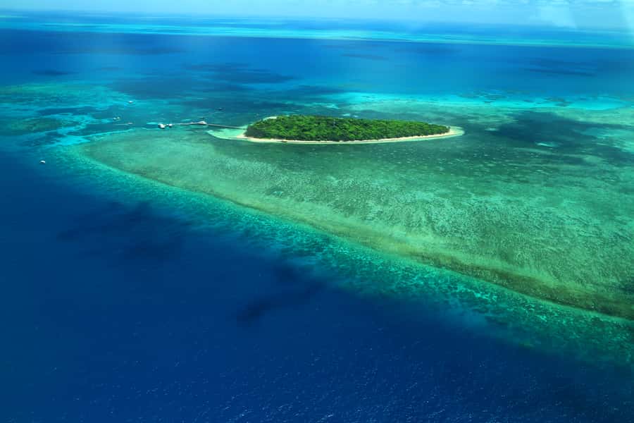 Cairns: Outer Edges of The Great Barrier Reef Scenic Flight - Why an aerial view changes the Great Barrier Reef