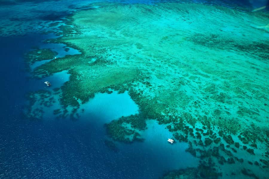 Cairns: Outer Edges of The Great Barrier Reef Scenic Flight - Green Island, Oyster Reef, and the first photo chances