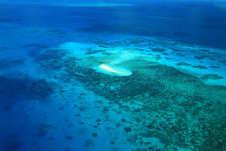 Cairns: Outer Edges of The Great Barrier Reef Scenic Flight - A small plane, large windows, and flying comfort