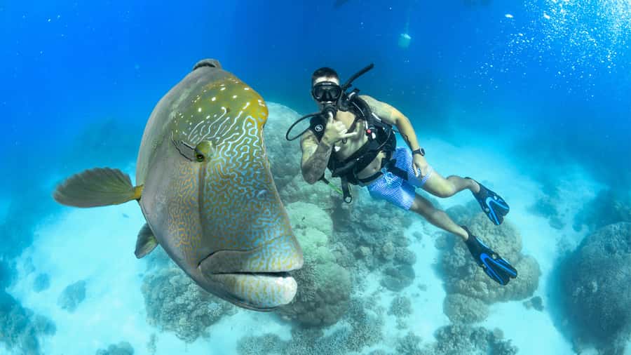 Cairns: Outer Great Barrier Reef Full-Day Tour with Lunch - Buffet lunch between the two sites