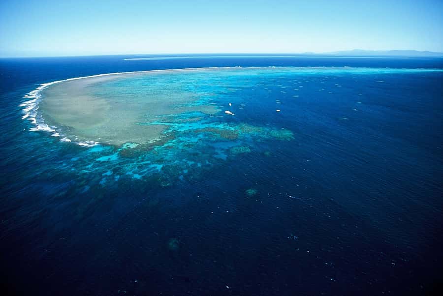Cairns: Outer Great Barrier Reef Full-Day Tour with Lunch - What snorkeling is really like on a large boat