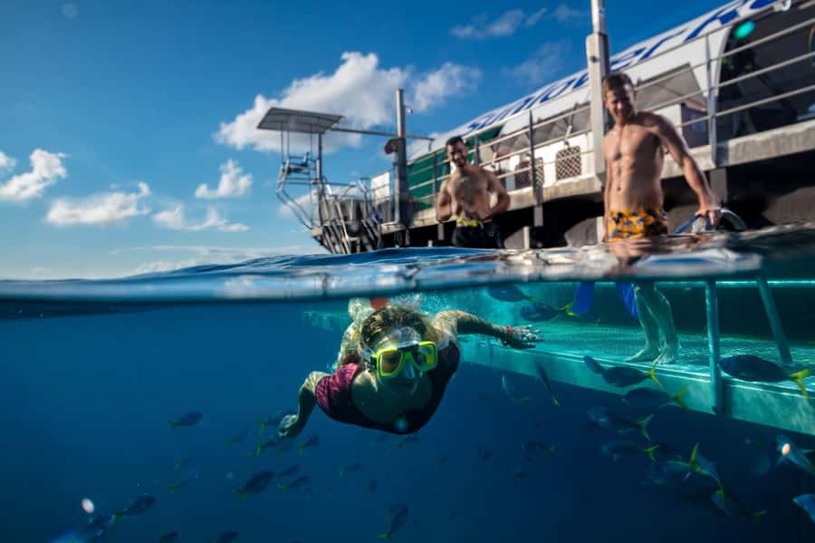 Cairns: Outer Great Barrier Reef Pontoon with Activities - Snorkeling with a life jacket and stinger suit