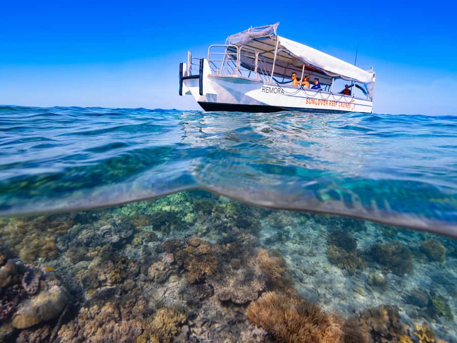 Cairns: Outer Great Barrier Reef Pontoon with Activities - Practical timing and booking advice