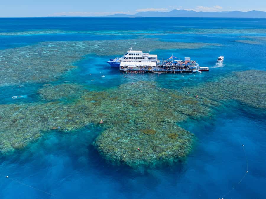 Cairns: Outer Great Barrier Reef Pontoon with Activities - Four hours at Moore Reef